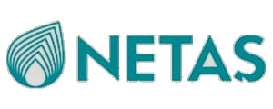 Netaş